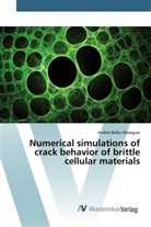 Andres Belles Meseguer - Numerical simulations of crack behavior of brittle cellular materials