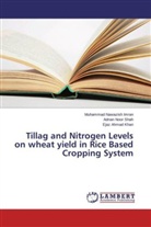 Muhammad Nawazis Imran, Muhammad Nawazish Imran, Ej Khan, Ejaz Ahmad Khan, Adnan Noo Shah, Adnan Noor Shah - Tillag and Nitrogen Levels on wheat yield in Rice Based Cropping System