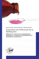Mouss Djimdé, Moussa Djimdé, Ogobara Doumbo, Kassou Kayentao, Kassoum Kayentao - Evaluation de l efficacite de la