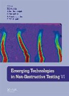 Danny Van Hemelrijck, Danny Van Vanlanduit Hemelrijck, Danny (Vrije Universiteit Brussels Van Hemelrijck, Danny Vanlanduit Van Hemelrijck, Athanasios Anastasopoulos, Athanasios A. Anastasopoulos... - Emerging Technologies in Non-Destructive Testing VI