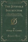 George Q. Cannon - The Juvenile Instructor, Vol. 21