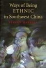 Stevan Harrell - Ways of Being Ethnic in Southwest China