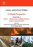 Glenn B. Stracher, Glenn B. Prakash Stracher, Anupma Prakash, Anupma (Geophysical Institute Prakash, Prakash Anupma, Guillermo Rein... - Coal and Peat Fires: A Global Perspective
