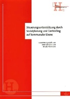 Steuerungsunterstützung durch Sozialplanung und Controlling auf kommunaler Ebene