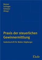 Bernhard Renner, Jose Schlager, Josef Schlager, Reinhard Schwarz - Praxis der steuerlichen Gewinnermittlung (f. Österreich)