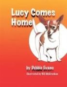 Debbie Evans - Lucy Comes Home