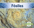 Grace Hansen - Fósiles