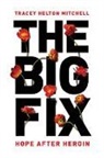 Tracey Helton Mitchell, Tracey Mitchell - Big Fix