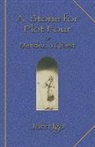John Igo - A Stone for Plot Four