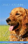David Rosenfelt - Lessons from Tara