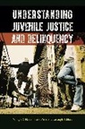 Michael Cavanaugh, Cavanaugh Michael, Marilyn McShane, Marilyn D. McShane, Marilyn/ Cavanaugh McShane - Understanding Juvenile Justice and Delinquency