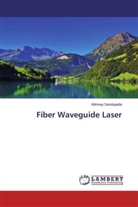Abhinay Sandupatla - Fiber Waveguide Laser