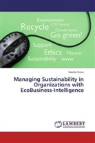 Valentin Grecu - Managing Sustainability in Organizations with EcoBusiness-Intelligence