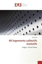Remi Sakr, Sakr-r - 48 logements collectifs evolutifs