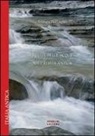 Michele Dall'Aglio - I culti delle acque nell'Italia antica