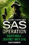 David Monnery, Monnery David - SAS Operation