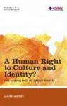 Janne Mende, Mende Janne - Human Right to Culture Amp Identcb