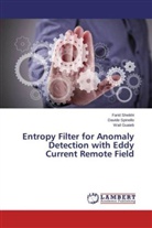 Wail Guaieb, Fari Sheikhi, Farid Sheikhi, David Spinello, Davide Spinello - Entropy Filter for Anomaly Detection with Eddy Current Remote Field