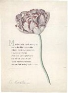 Anonymus, Hendrik Schwegman - 10 poëziekaarten plint met gedicht 'Mijn hert'