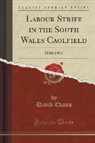David Evans - Labour Strife in the South Wales Caolfield