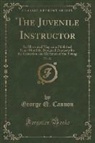 George Q. Cannon - The Juvenile Instructor, Vol. 22