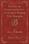 Peter W. Barlow - Kaipara or Experiences of a Settler in North New Zealand (Classic Reprint)
