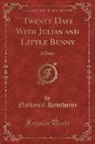 Nathaniel Hawthorne - Twenty Days With Julian and Little Bunny