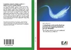 Marco D'Alessandro - Instantons and perturbative analysis in supersymmetric gauge theories