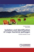 Shimele Abegaz, Shimeles Abegaz, Biruk Demei - Isolation and identification of major bacterial pathogen