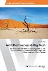 Felix Wurmes - Aid Effectiveness & Big Push