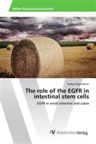 Vasfiye Bilge Göcen - The role of the EGFR in intestinal stem cells