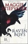 Maggie Stiefvater - Raven boys