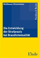 Aloi Birklbauer, Alois Birklbauer, Helmut Hirtenlehner, Einhar Steininger, Einhard Steininger - Die Entwicklung der Strafpraxis bei Brandkriminalität