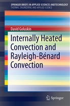 David Goluskin - Internally Heated Convection and Rayleigh-Bénard Convection