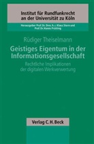 Rüdiger Theiselmann - Geistiges Eigentum in der Informationsgesellschaft