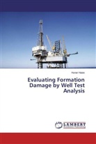 Hunar Haias - Evaluating Formation Damage by Well Test Analysis