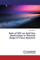 Salisu Ibrahim - Role of BTX on Acid Gas Destruction in Thermal Stage of Claus Reactors