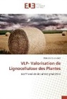 Noureddine Eloutassi - VLP- Valorisation de Lignocellulose des Plantes