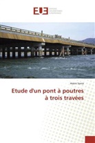 Hsaini Sonia - Etude d'un pont à poutres à trois travées