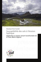 Oluwatoyin Pierre Toundoh - Susceptibilité des sols à l'érosion hydrique