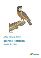 Alfred E. Brehm, Alfred Edmund Brehm - Brehms Tierleben