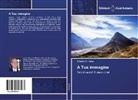 Alberto Di Felice - A Tua immagine