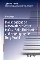 Cheng Chen - Investigations on Mesoscale Structure in Gas-Solid Fluidization and Heterogeneous Drag Model
