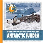 Vicky Franchino - Antarctic Tundra