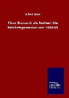 Alfred Dove - Fürst Bismarck als Redner: Die Reichstagssession von 1884/85