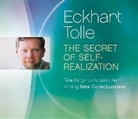 Eckhart Tolle - The Secret of Self Realization (Audio book)