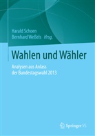Haral Schoen, Harald Schoen, Wessels, Wessels, Bernhard Weßels - Wahlen und Wähler