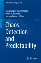 Geor A Gottwald, Georg A Gottwald, Georg A. Gottwald, Jacques Laskar, Charalampos Skokos, Charalampos (Haris) Skokos... - Chaos Detection and Predictability