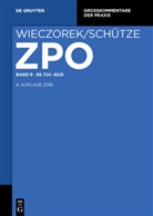 David-Christop Bittmann, David-Christoph Bittmann, Christoph G. Paulus, Rolf A. Schütze, Stefan Smid, Frank Spohnheimer... - Zivilprozessordnung und Nebengesetze, Kommentar - Band 9: §§ 724-802l