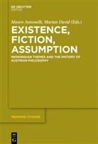 Maur Antonelli, Mauro Antonelli, DAVID, David, Marian David - Existence, Fiction, Assumption